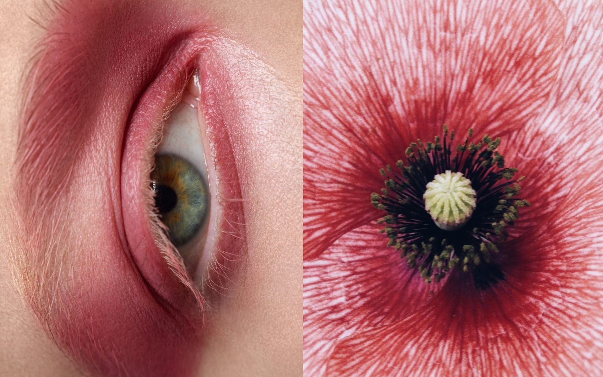 hero background image