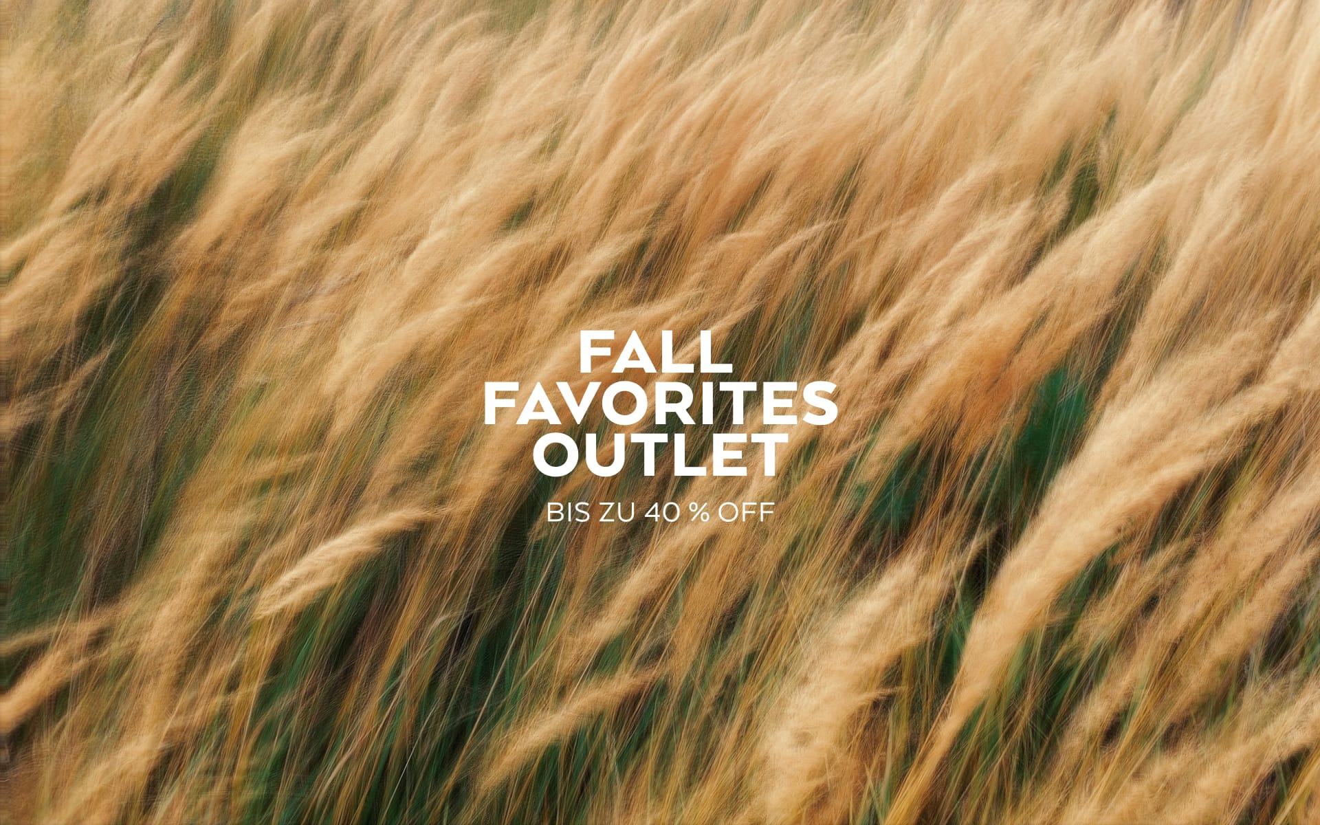 hero background image