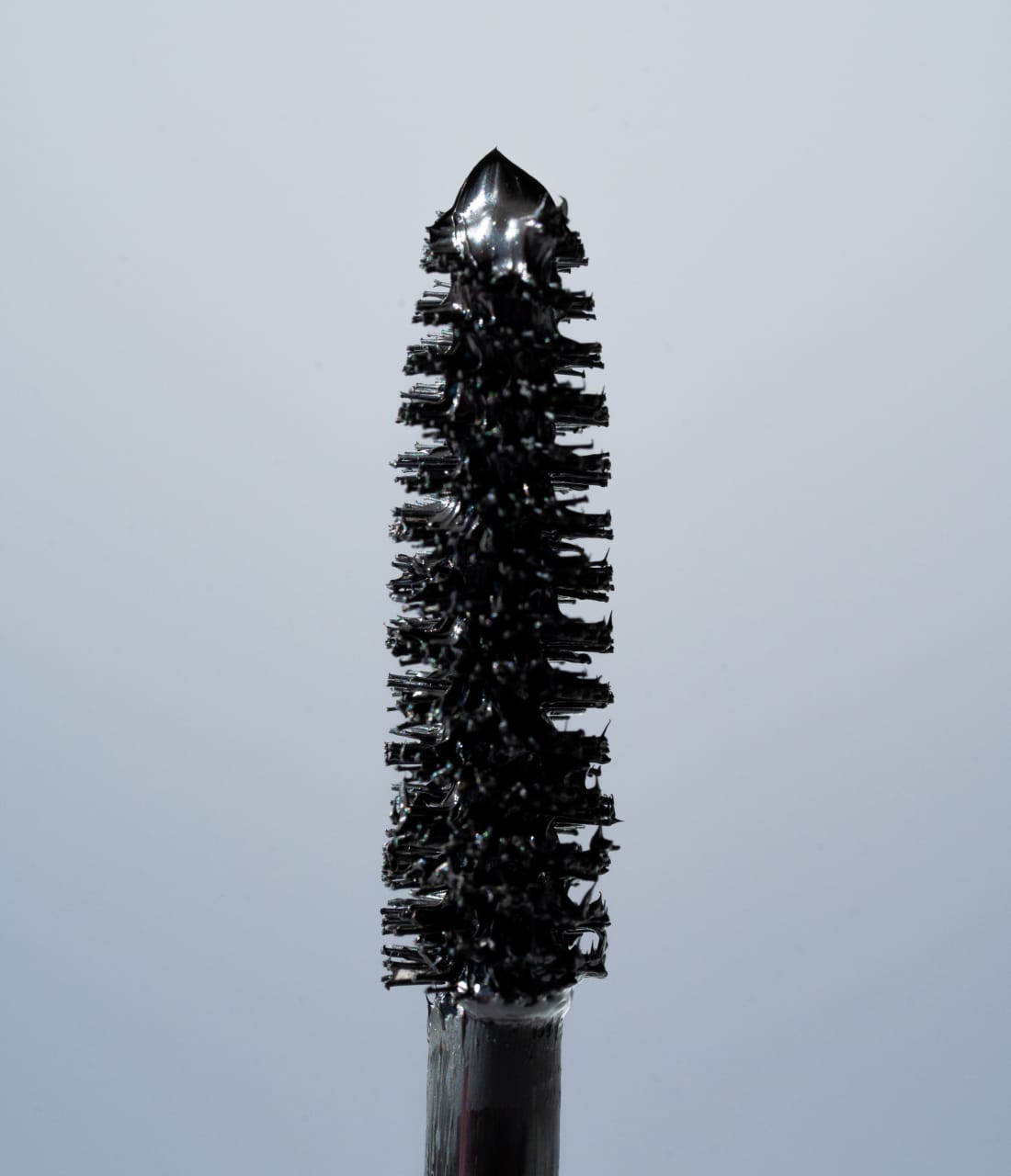 Mascara Spitze in schwarz