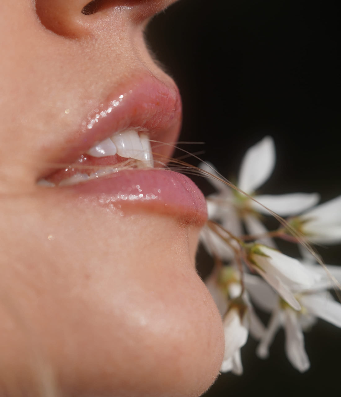 Model in der Natur