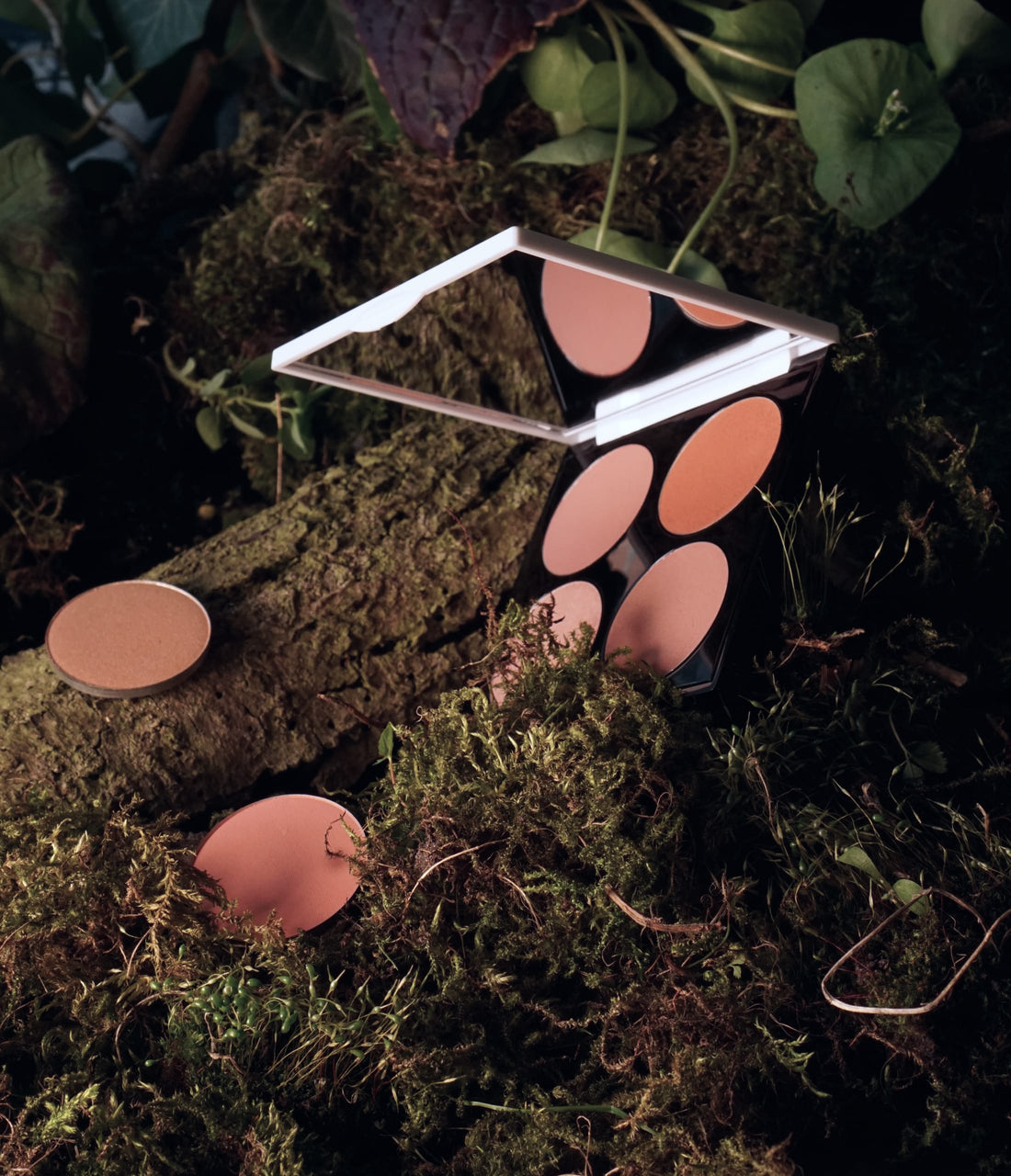 Face Palette in der Natur