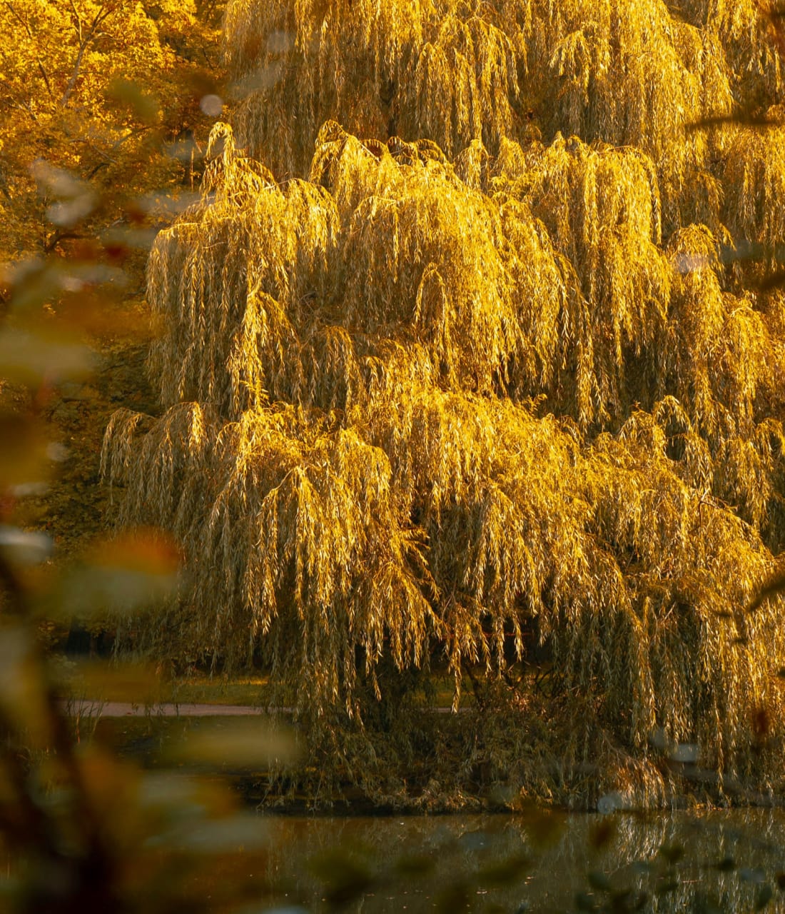UND GRETEL Outlet Herbststimmung